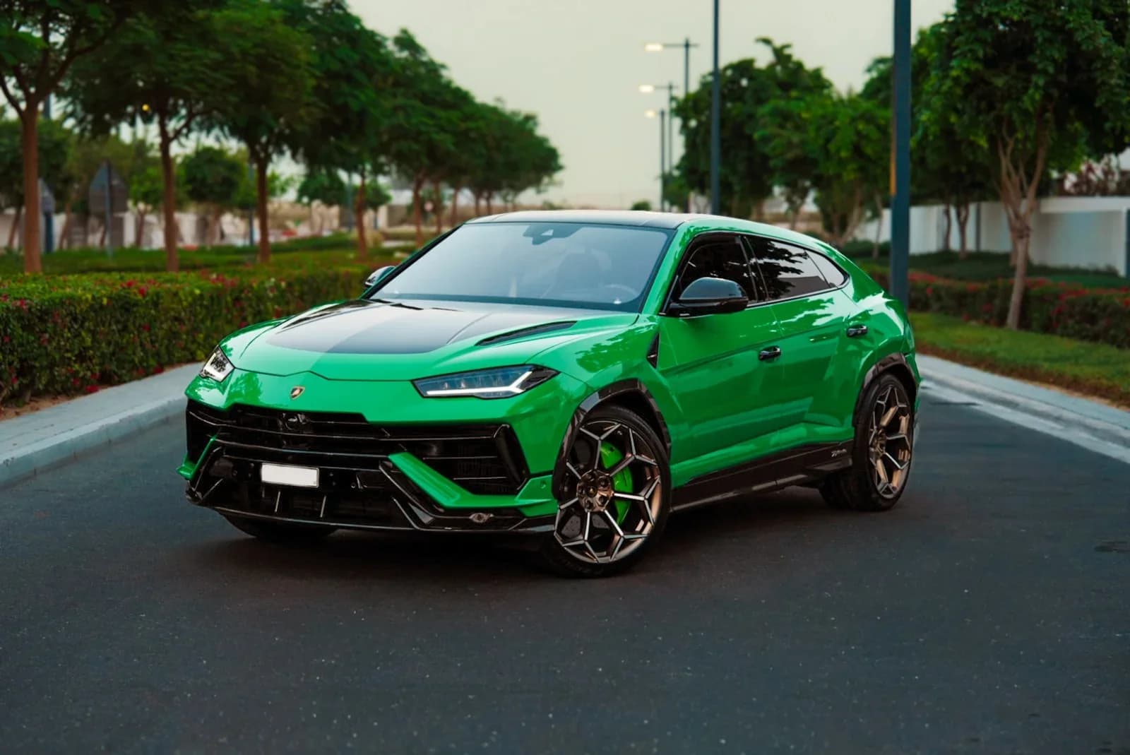 Lamborghini Performante in Green