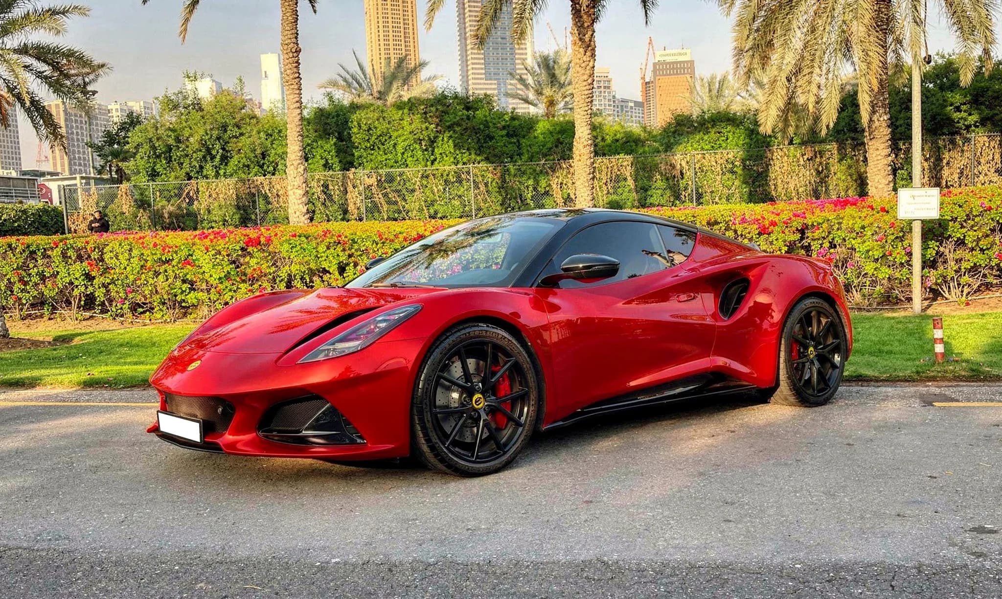 Lotus collection