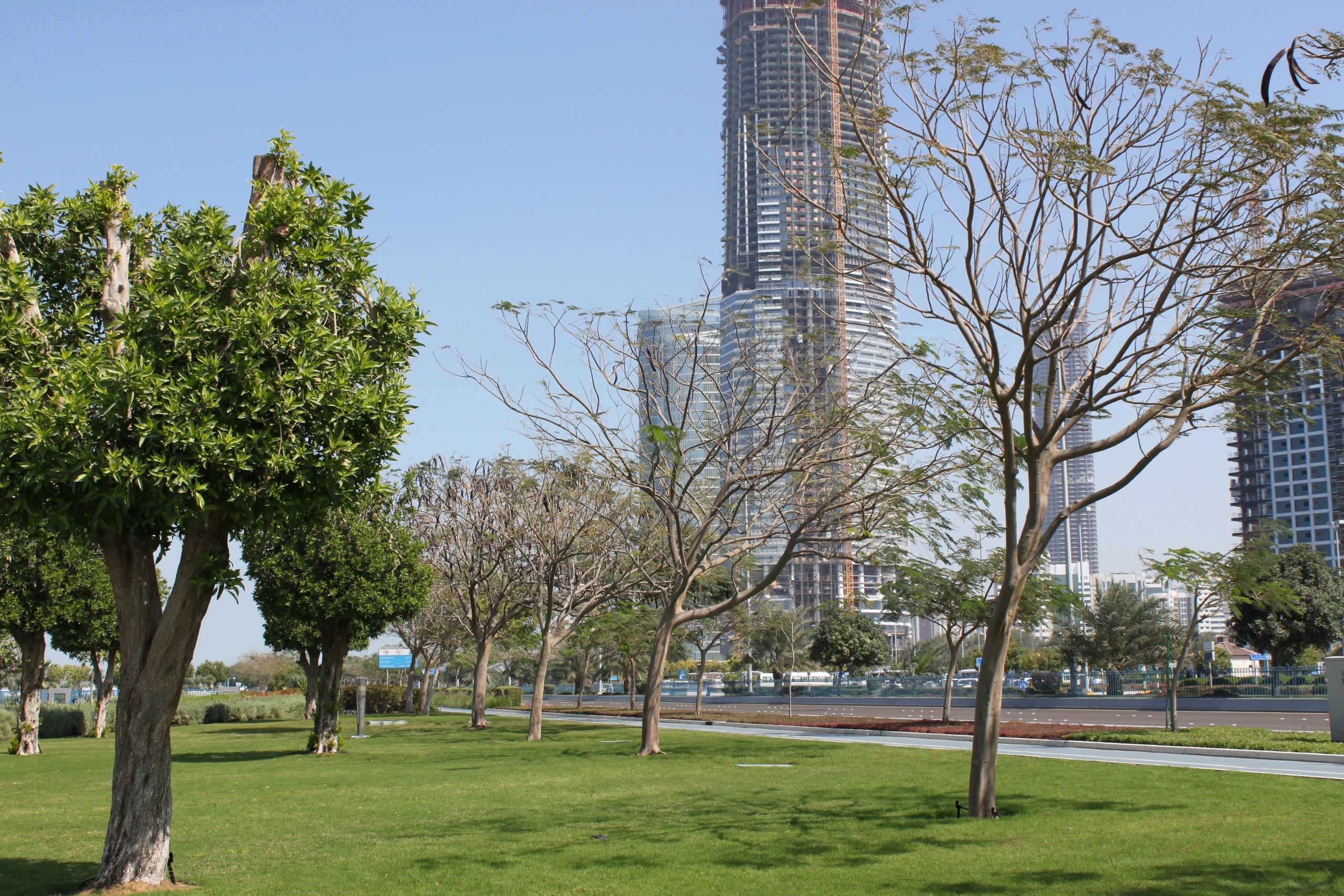 Abu Dhabi Corniche