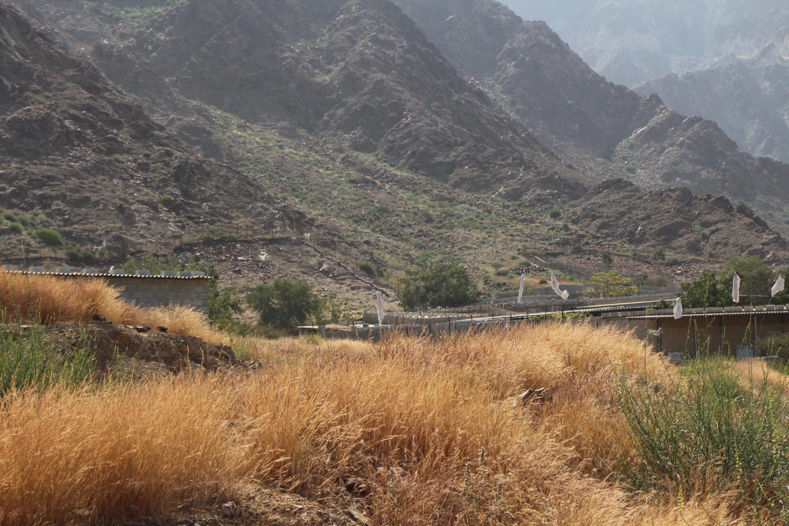 Dibba Al Fujairah